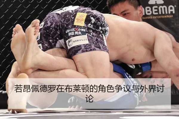 若昂佩德罗在布莱顿的角色争议与外界讨论